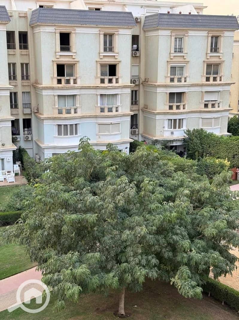 10 IMG-20251106-WA0203. jpg