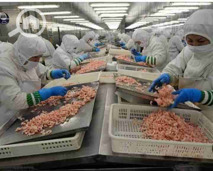 1000338727. jpg 1000338727. jpg