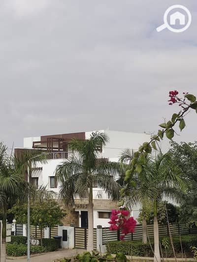 4 Bedroom Villa for Sale in New Cairo, Cairo - 481903428_122115742058716416_1206970716409908267_n. jpg