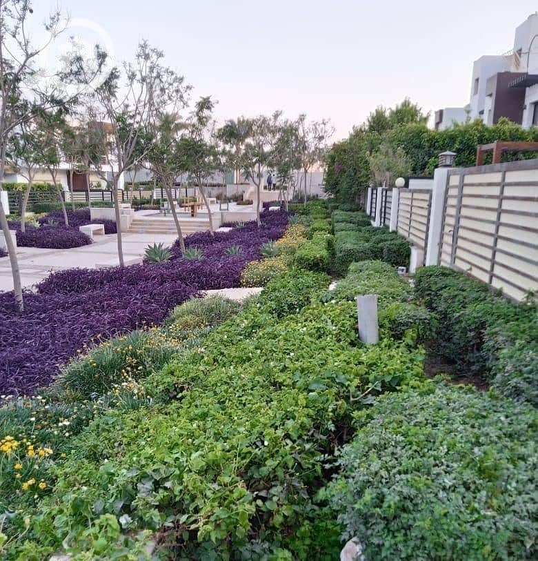 5 photo_2025-02-27_16-39-34. jpg