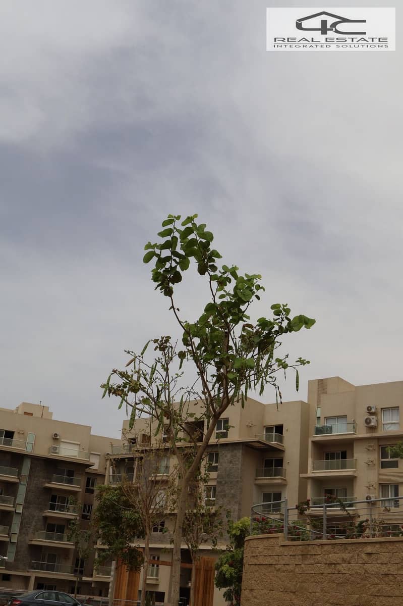 12 WhatsApp Image 2025-10-21 at 4.38. 42 PM (1). jpeg