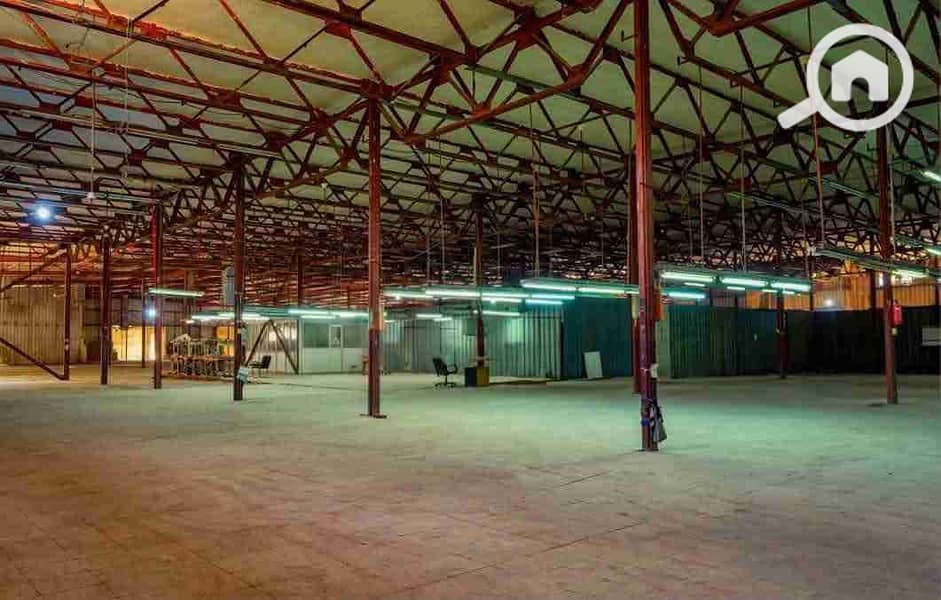 1000440789. jpg 1000440789. jpg