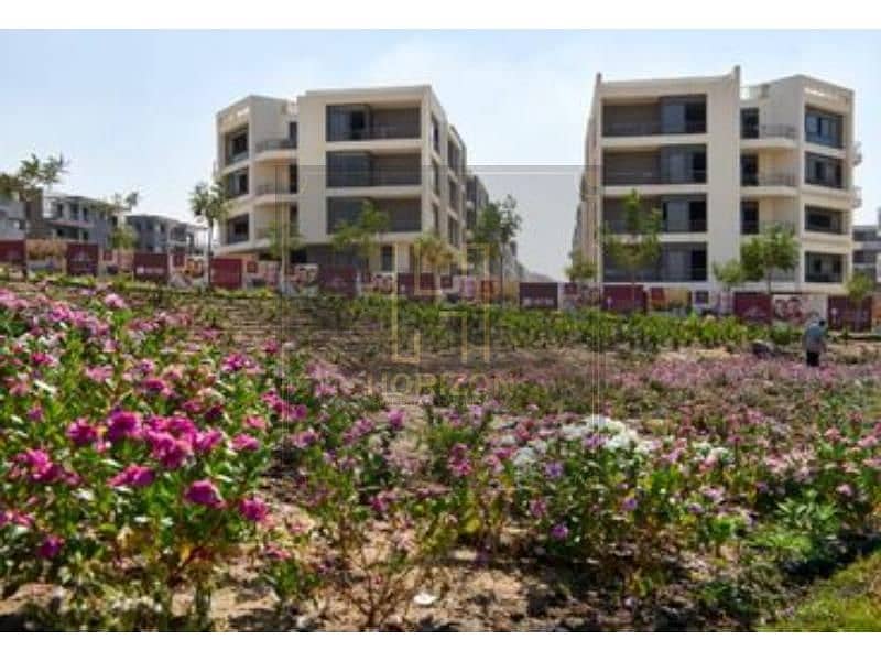 7 6138b3675768e137851391. jpg