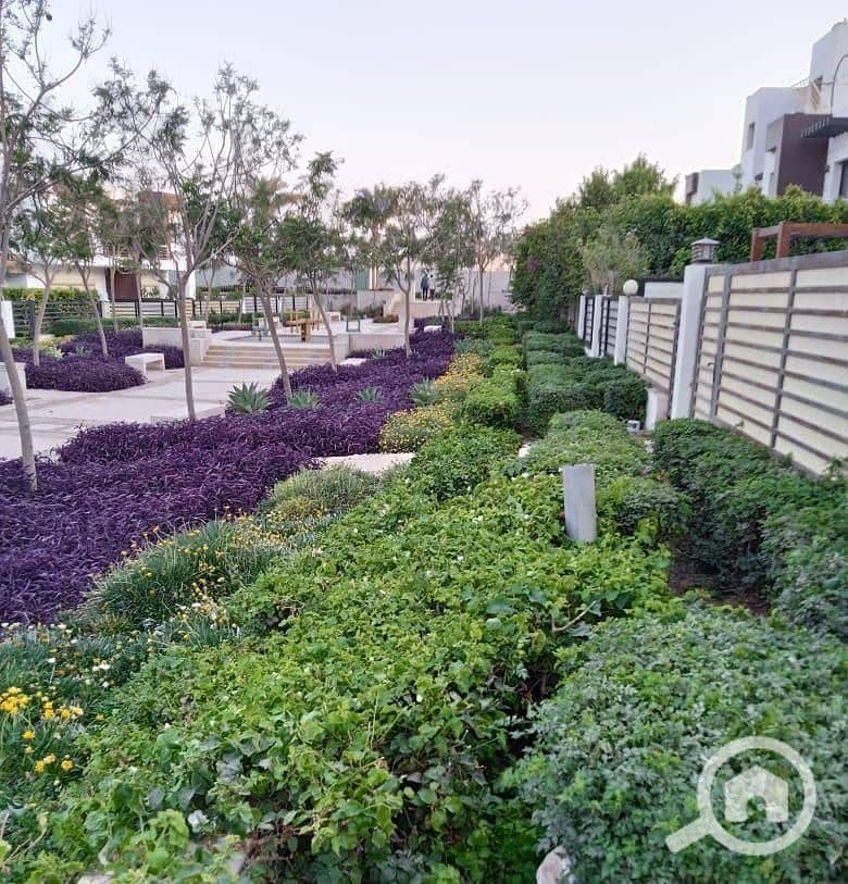 5 photo_2025-02-27_16-39-34. jpg