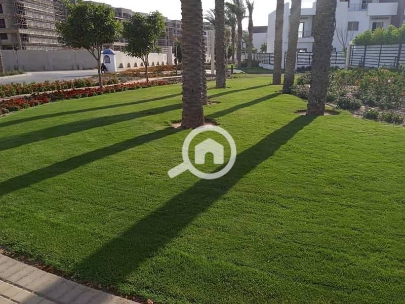 6 photo_2025-02-27_16-39-36. jpg