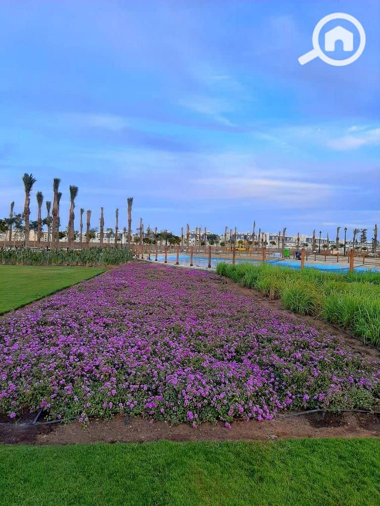 7 photo_2025-02-27_16-39-40. jpg