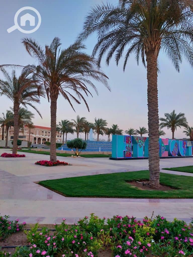 8 photo_2025-02-27_16-39-41. jpg