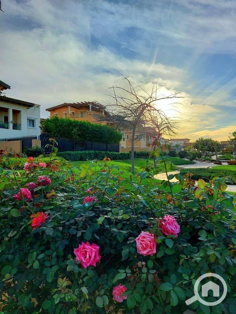 10 photo_2025-02-27_16-39-37. jpg