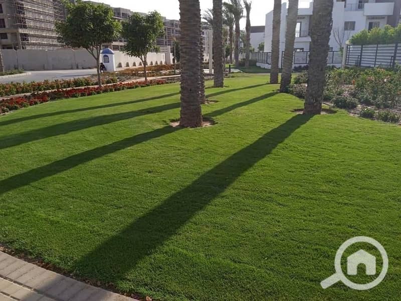 2 photo_2025-02-27_16-39-36. jpg