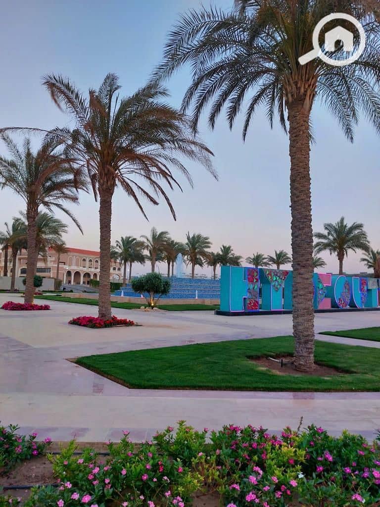 8 photo_2025-02-27_16-39-41. jpg