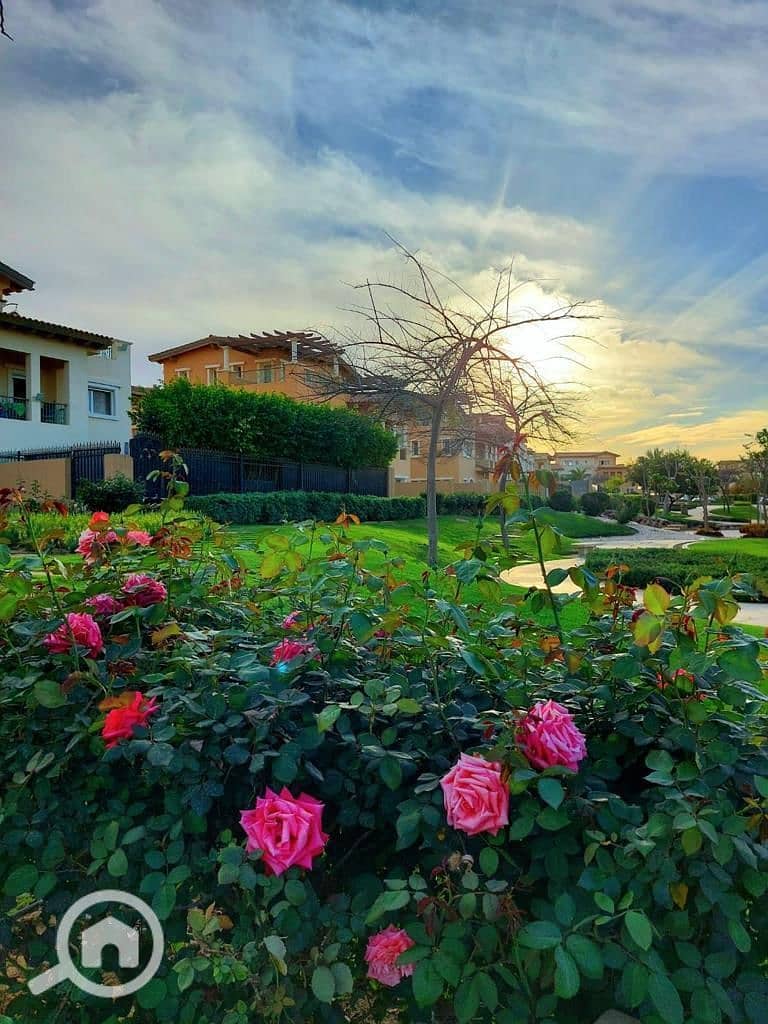 10 photo_2025-02-27_16-39-37. jpg