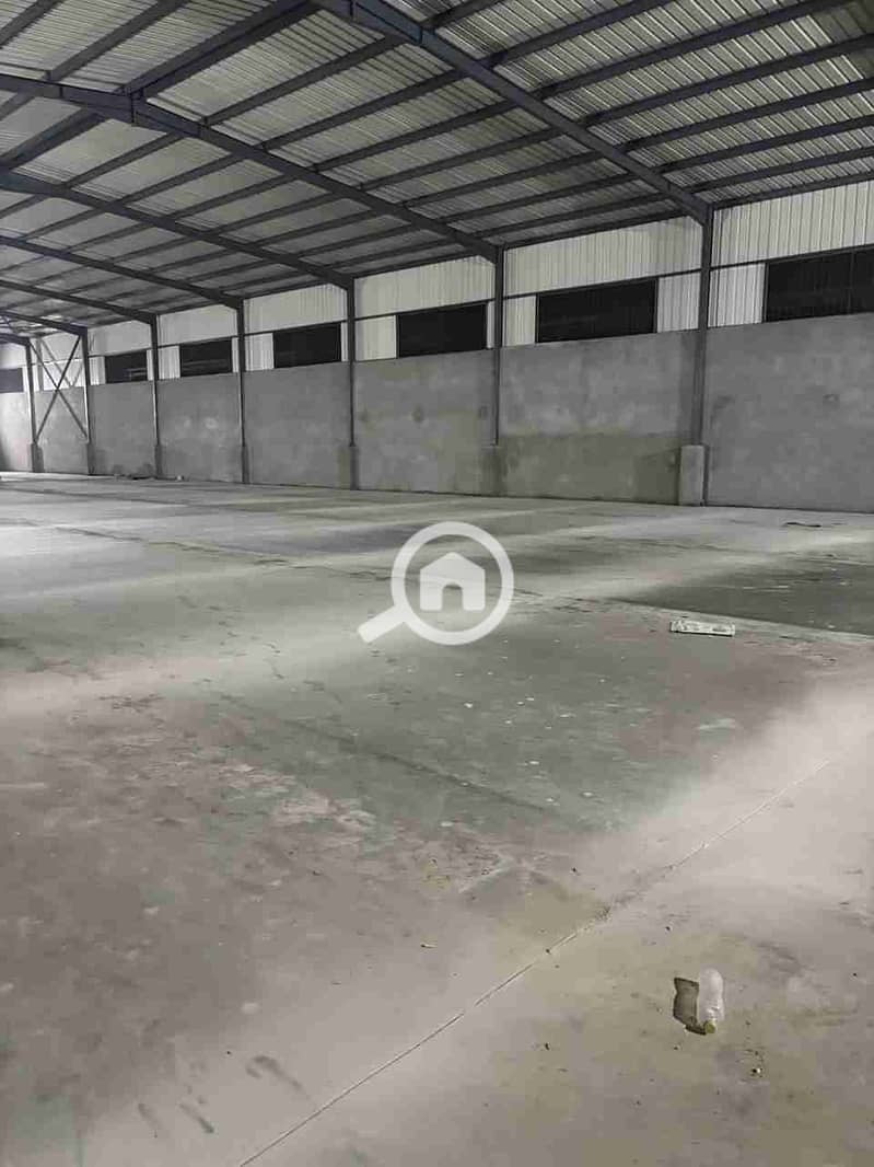 1000308998. jpg 1000308998. jpg