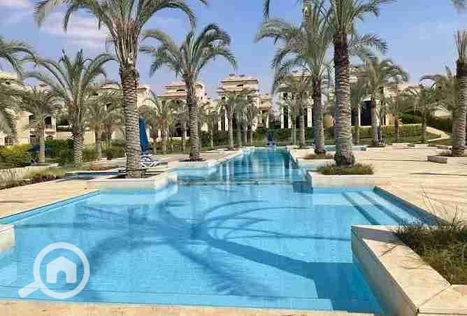 6 3165909-18513o. webp