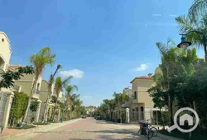 7 3165909-e7d02o. webp