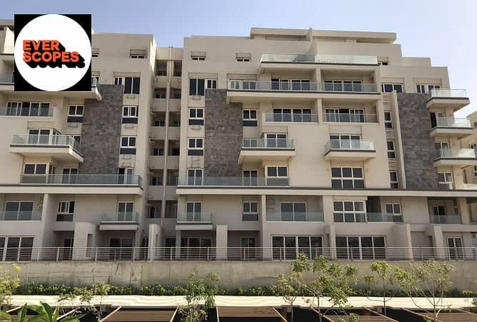 10 3844321-5ae92o. jpg