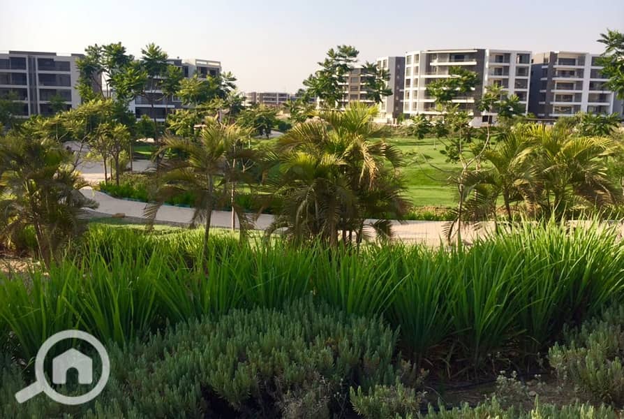 12 0e48dac4-5cc0-4f38-9e05-7087b022b00d. jpg