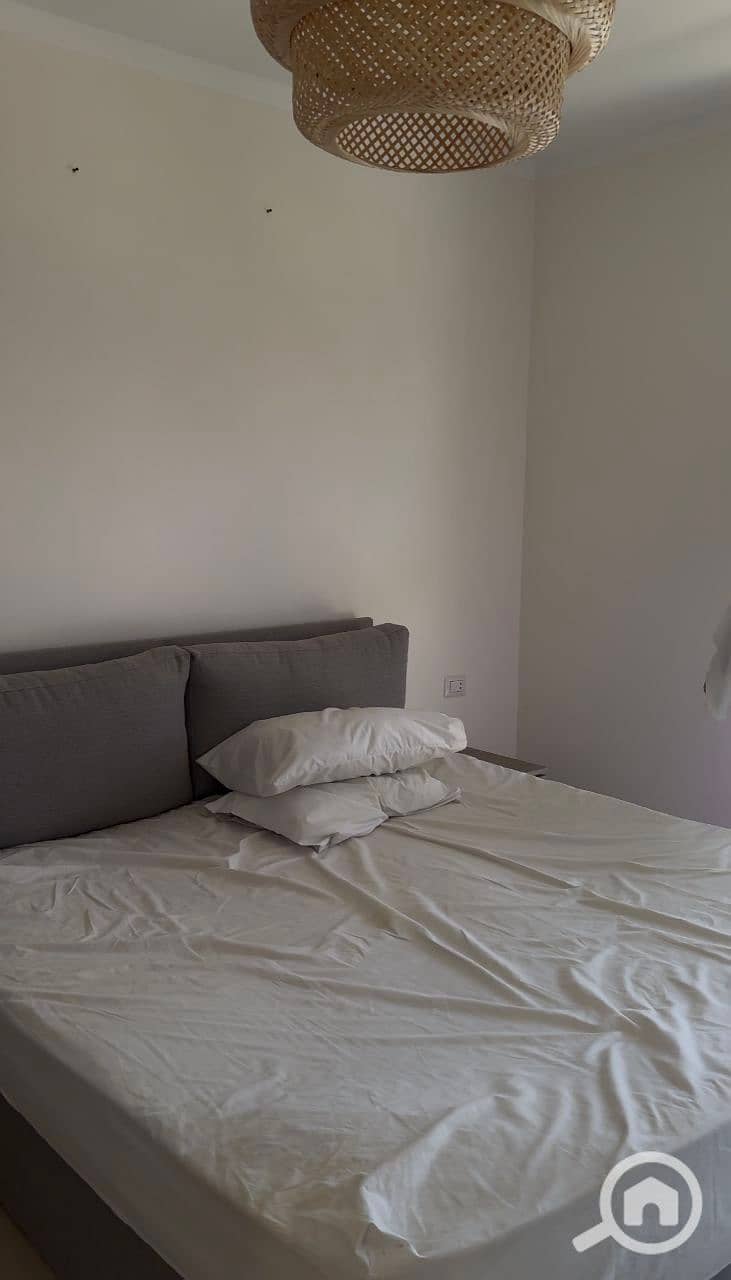 3 photo_2025-01-20_17-19-39. jpg