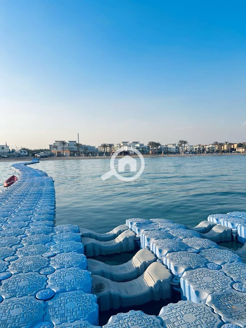 4 photo_2025-02-19_06-00-06. jpg