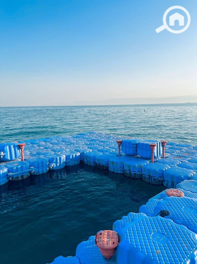 5 photo_2025-02-19_06-00-08. jpg