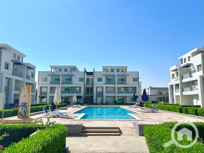 8 photo_2025-02-19_06-00-37. jpg