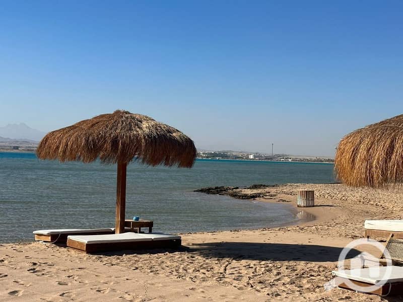 8 photo_2025-03-06_20-06-46. jpg