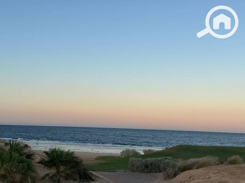 10 photo_2025-05-24_21-59-38. jpg