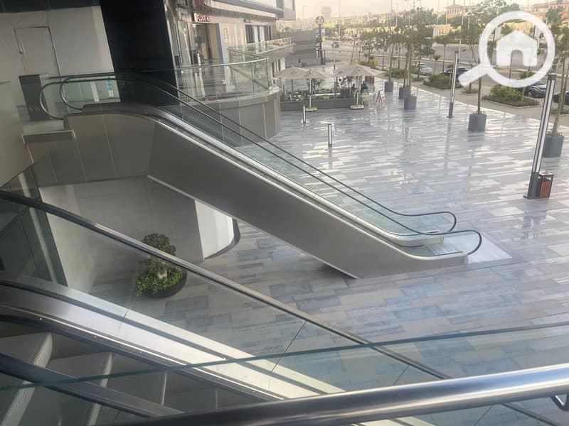 6 557624534_856302996728883_3265220019963375343_n. jpg