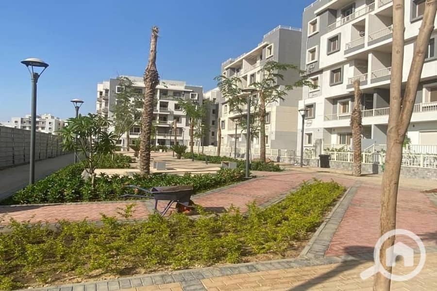 4 IMG-20251024-WA0001. jpg