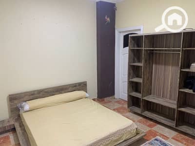 3 Bedroom Flat for Rent in Zagazig, Sharqia - شقة مفروش ايجار 3 Bedroom Flat for Rent in Zagazig, Sharqia - شقة مفروش ايجار