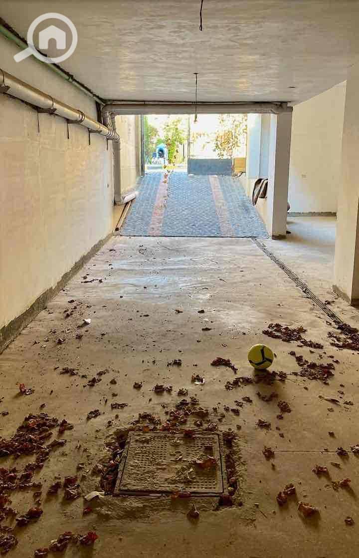 3 21d20fa7-34e2-434c-8068-58c59c02ece2. jpg