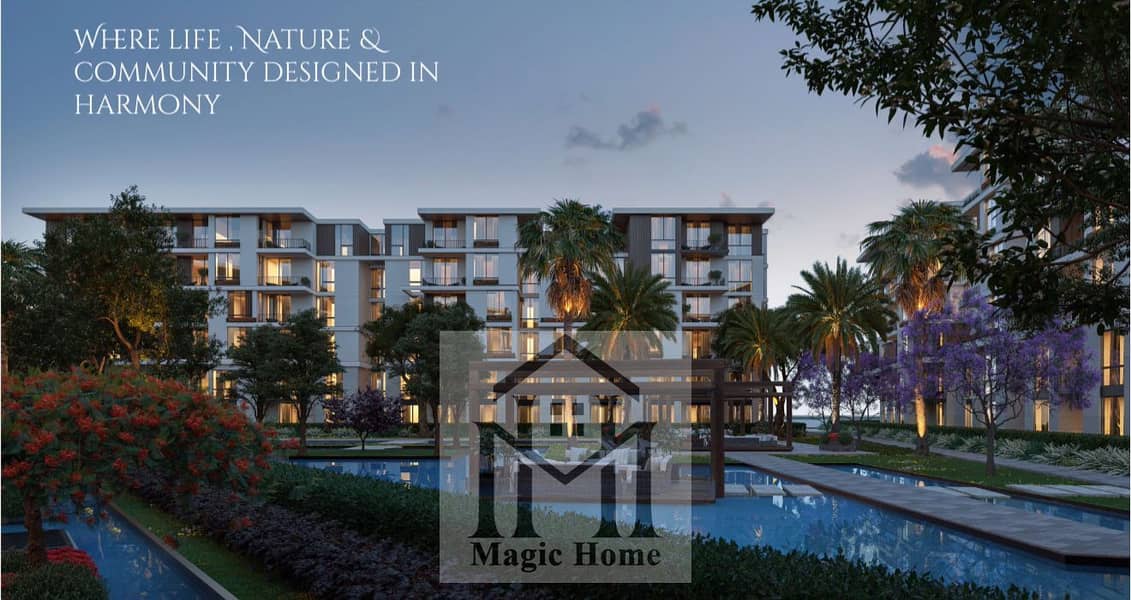 4 1950d5cd-e2ce-426b-83ce-07b3ac5921c3. jpg