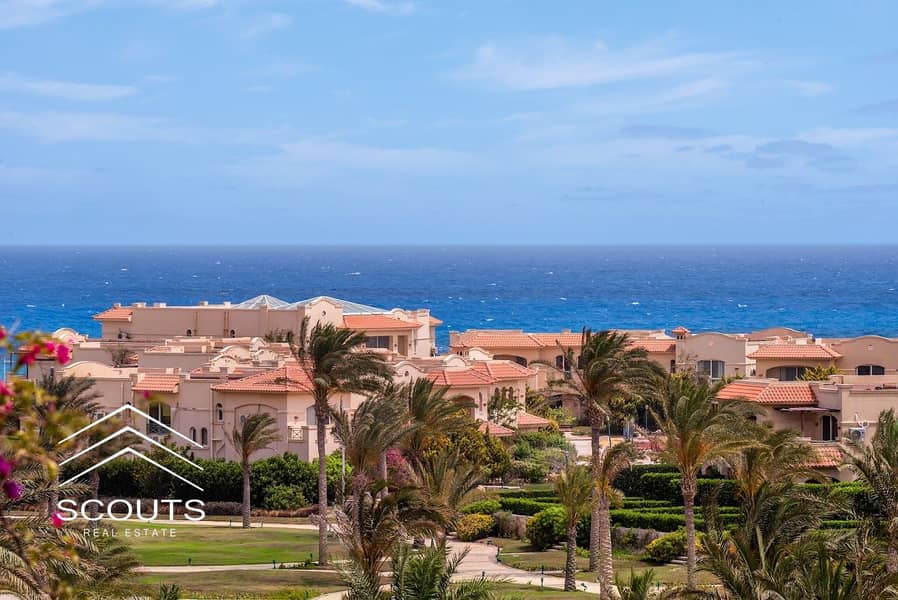 15 233333333333333333333333. jpg