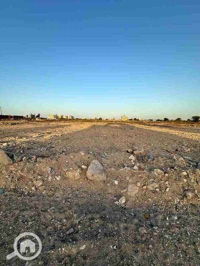 أرض تجارية  للبيع في العامرية، الإسكندرية - 1000370356. jpg