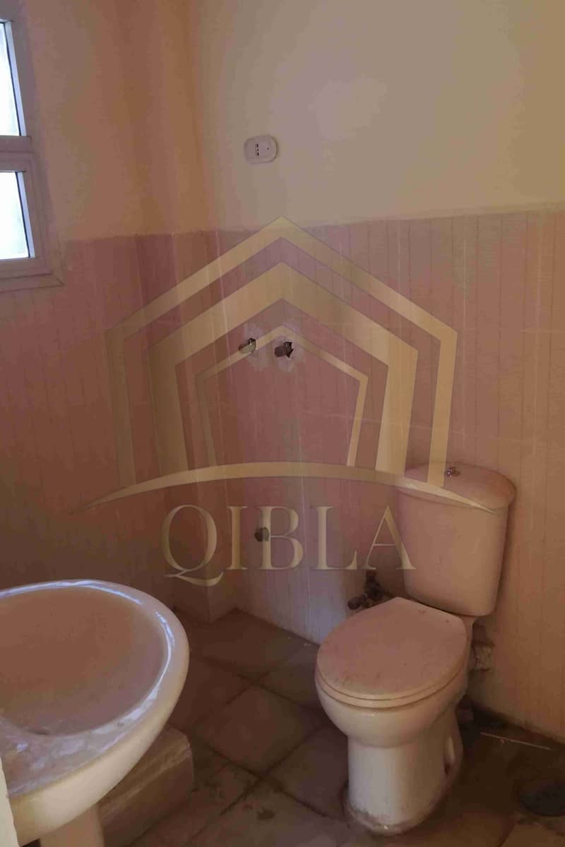 3 IMG_20190310_172015_edit_26967386215676. jpg