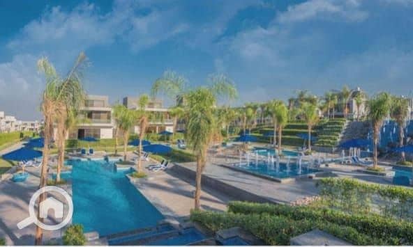 5 WhatsApp Image 2025-11-30 at 17.02. 07_209eeee0. jpg