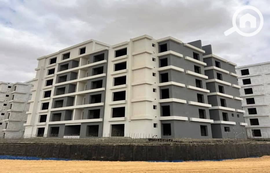 6 531262729_2463898197300217_6143442774390793401_n. jpg