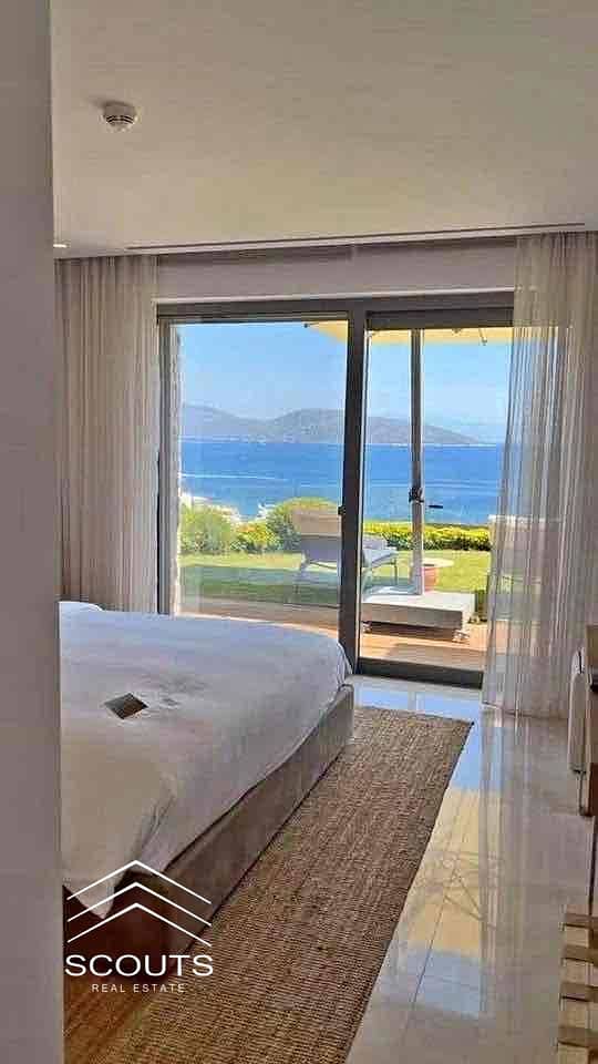 IMG_1799. jpg IMG_1799. jpg