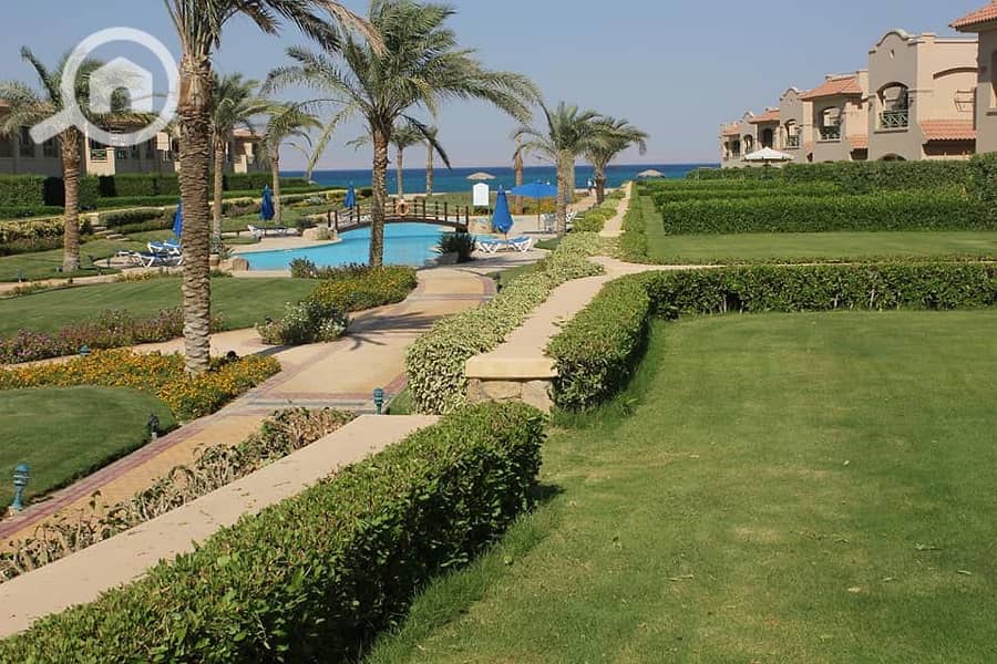 7 82508413_221780975498711_6259008136259043328_n. jpg