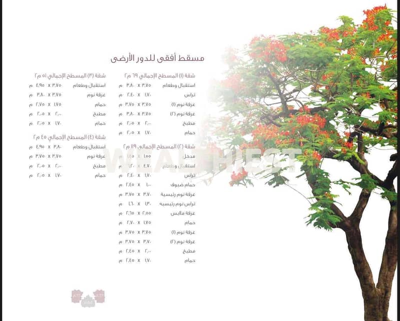 2 1761451c-3d85-4c2f-9122-e10b3a3396a4. jpg