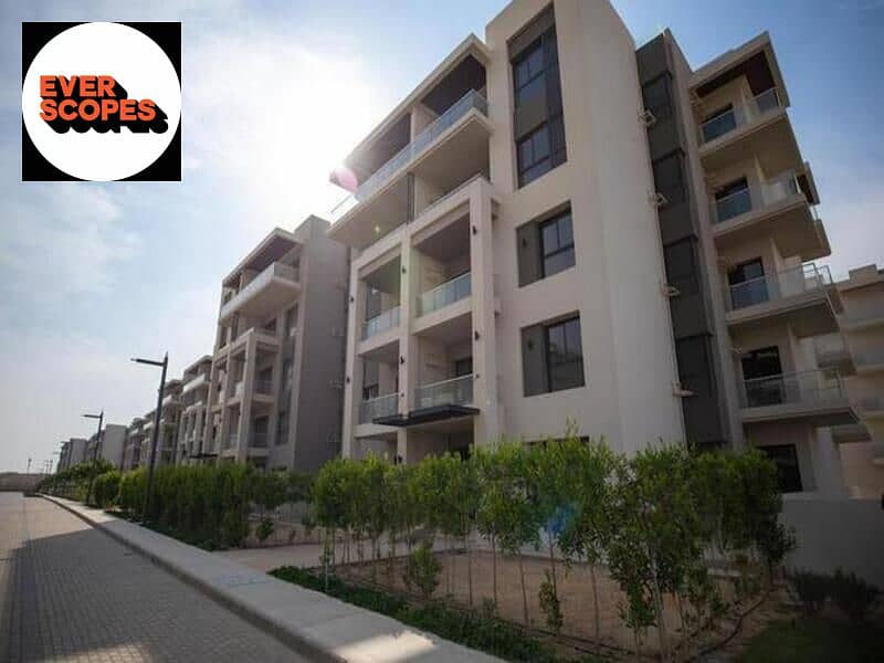 4 4498378-ff1e3o. jpg