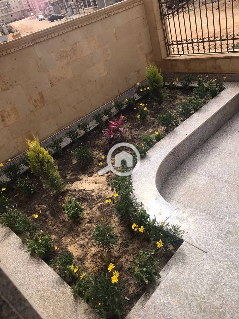 6 IMG-20250222-WA0005. jpg