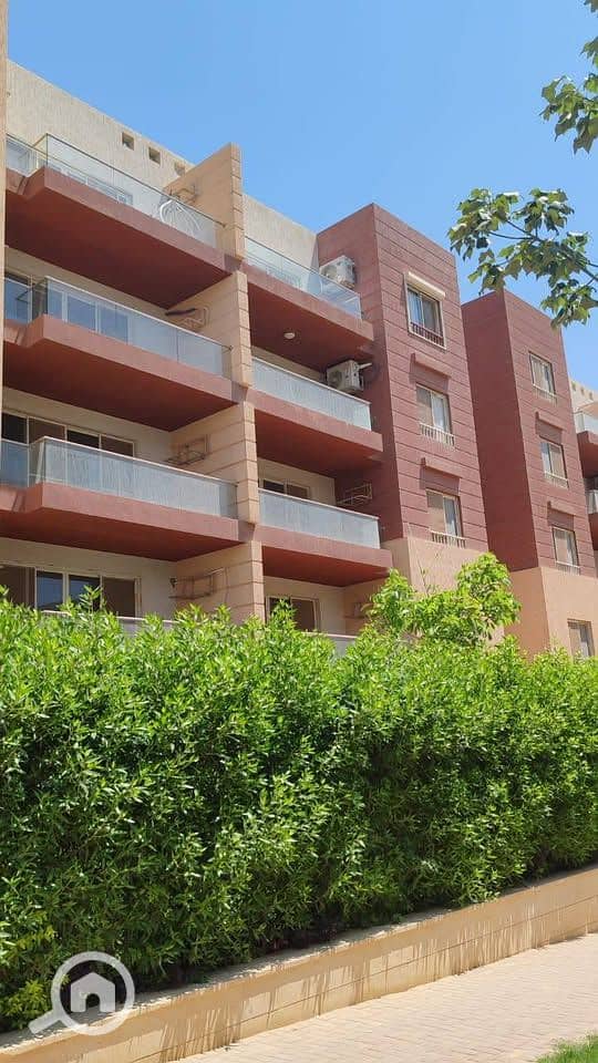 6 508111652_747554804468752_6934586705745791470_n. jpg