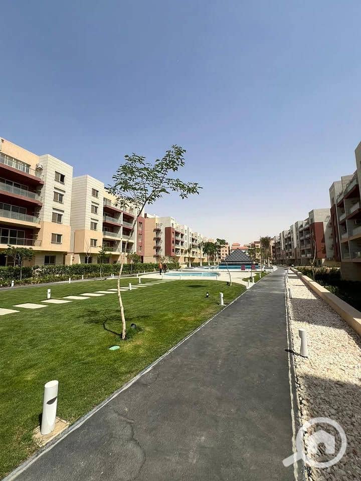 7 574874394_2450803295315586_7231853932171426758_n. jpg