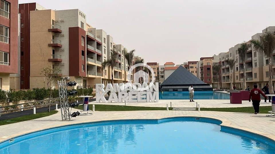 8 576945322_2450803155315600_3532042665429528467_n. jpg