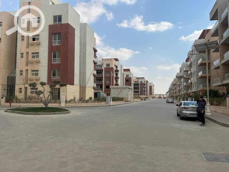 10 590873753_1851979555686744_2593601415400507245_n. jpg