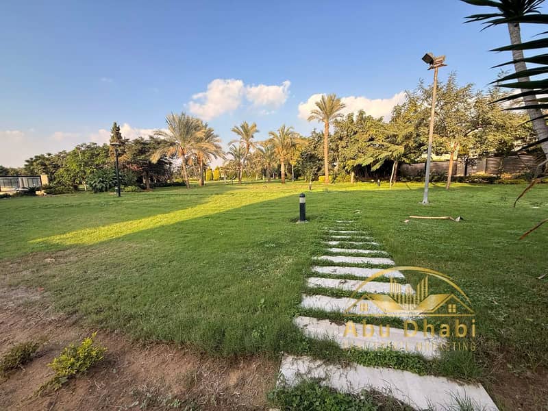 5 025d4f59-473c-4ec9-bd1a-8f9b208ecb1d. jpg