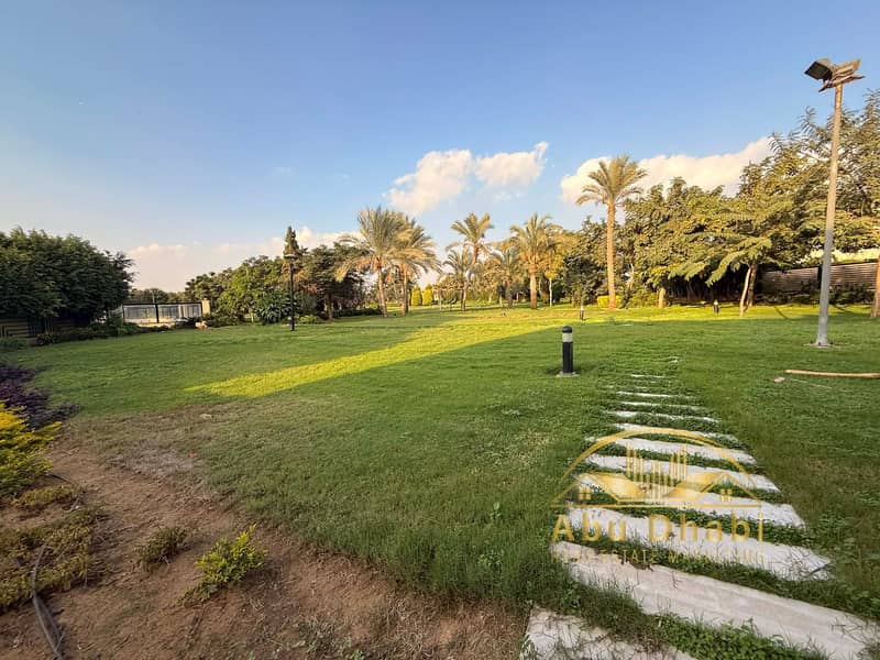 9 13096388-bedf-46d3-ab3e-08dea998f750. jpg