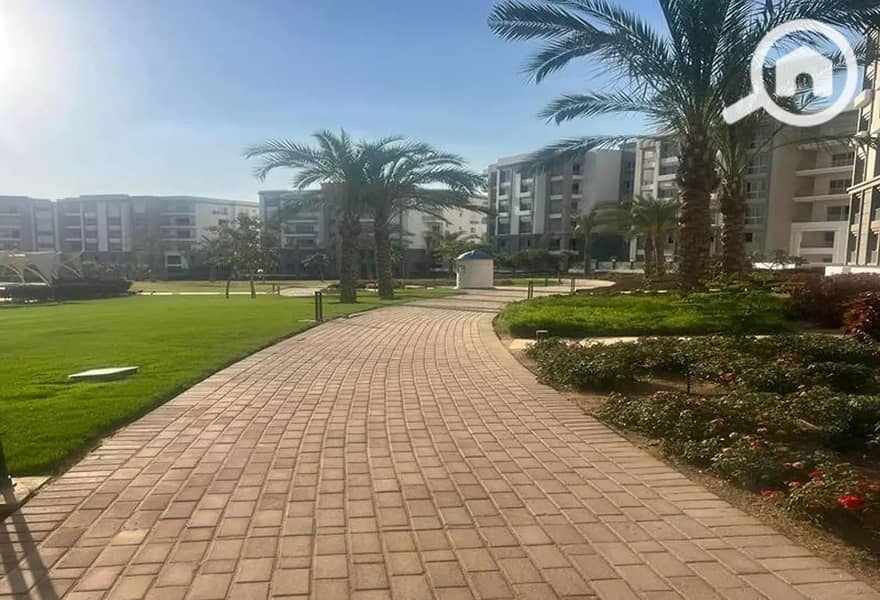 9 4344395-d6d2co. jpg