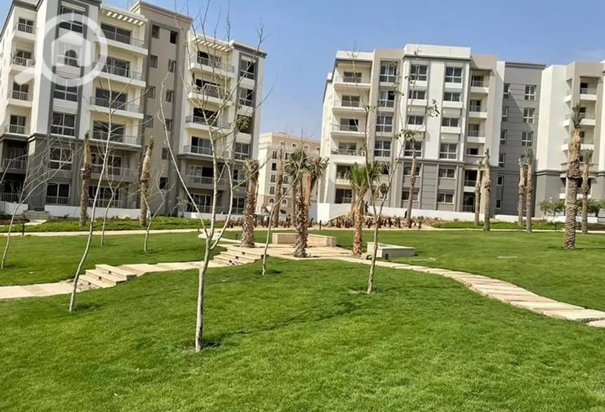 10 4344395-ed3deo. jpg