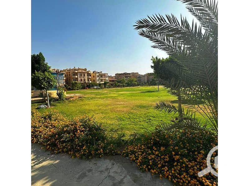 3 518404871_774954688398169_7143048248482149310_n. jpg